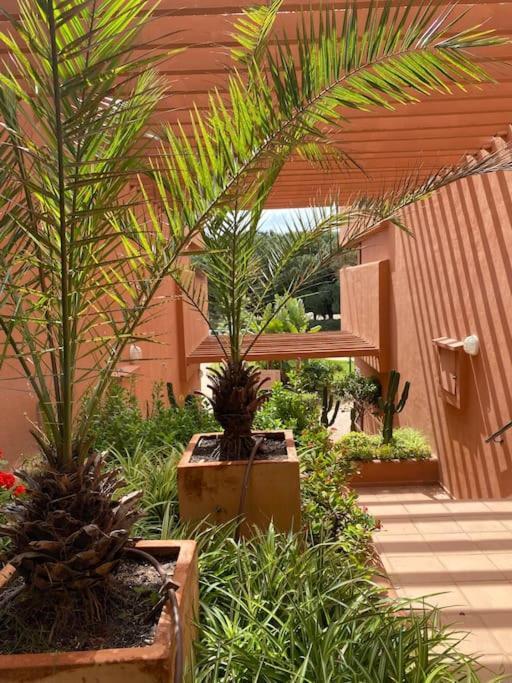 Apartment Cabopino Golf And Only Adults